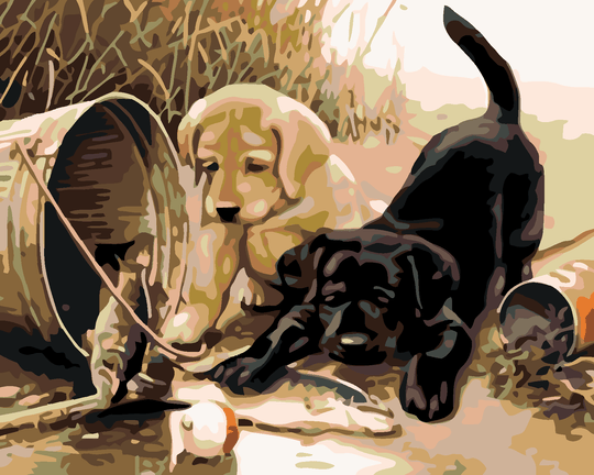 Diamond painting - HUNDEWELPCHEN MIT FISCH