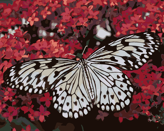 Diamond painting - WEISSER SCHMETTERLING UND ROTE BLUMEN