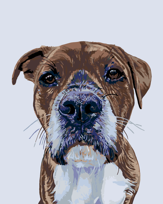 Diamond painting - HUNDEBLICK