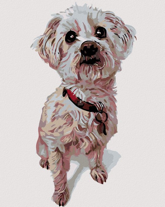 Diamond painting - MALTESER HUND